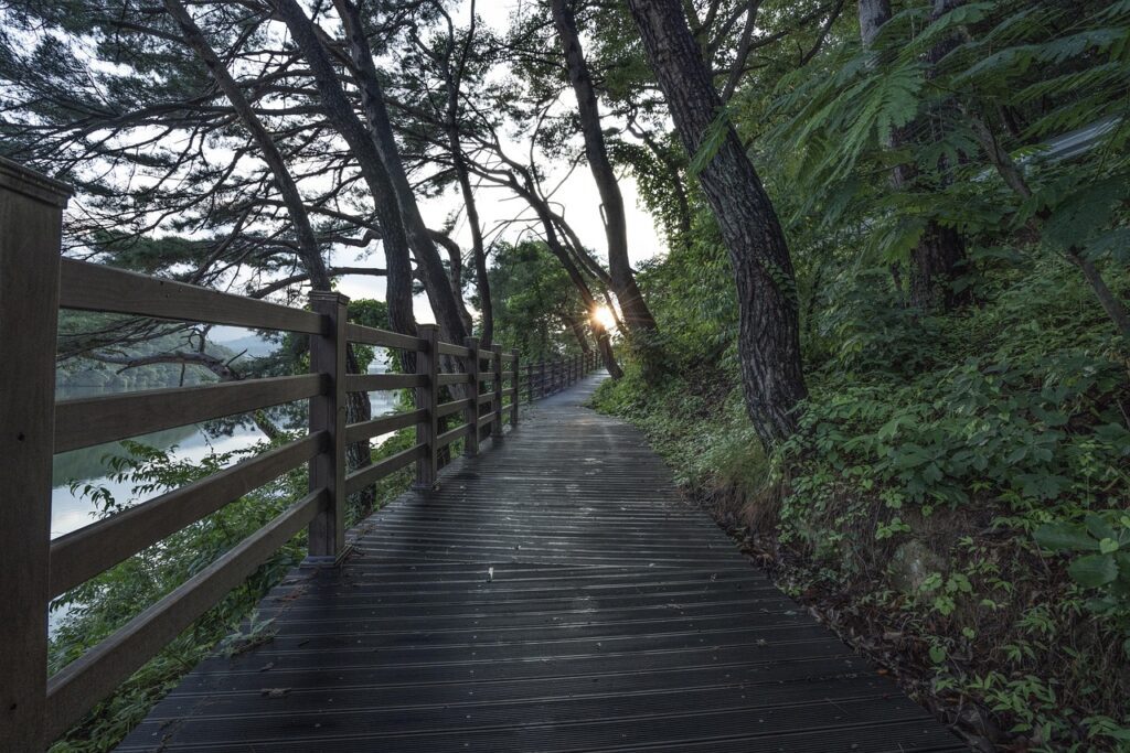 walk, free, park, tree, landscape, forest, break, trail, nature, healing, quiet, green, colonnade, road, still, free, free, healing, healing, healing, healing, healing
